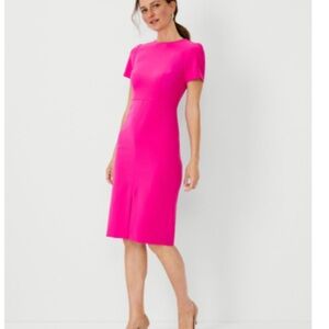 Ann Taylor Dress